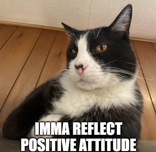 Funny Attitude Memes