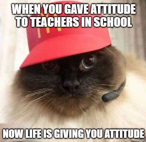 Funny Attitude Memes