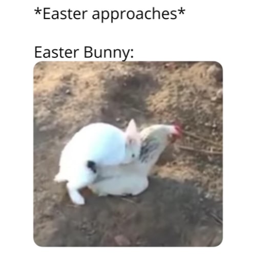 Happy Easter memes 2022