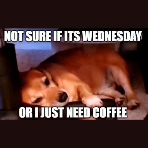 Good Morning - Happy Wednesday Memes Funny