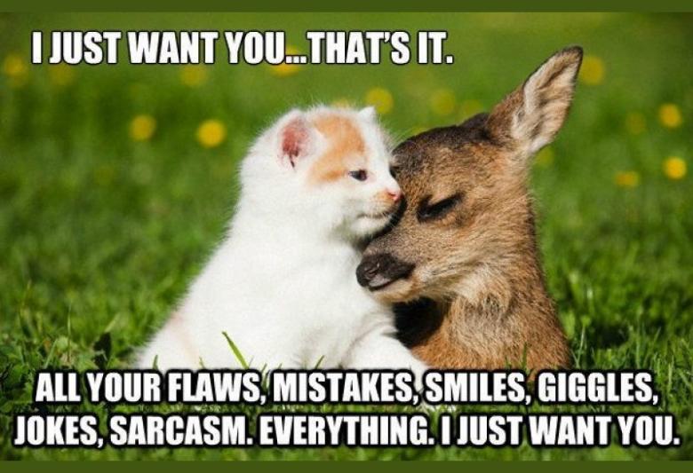 30+ Funny I Like You Memes for Her & Him