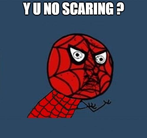 Funny Spider Memes