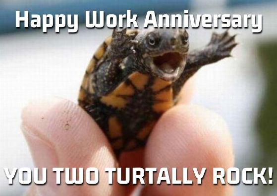 Happy Work Anniversary Memes
