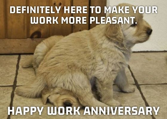Work Anniversary Memes
