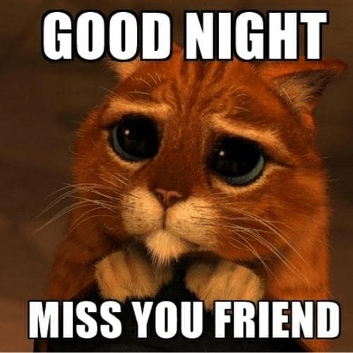 miss you good night memes for friends