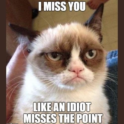 I Miss You cat Memes 
