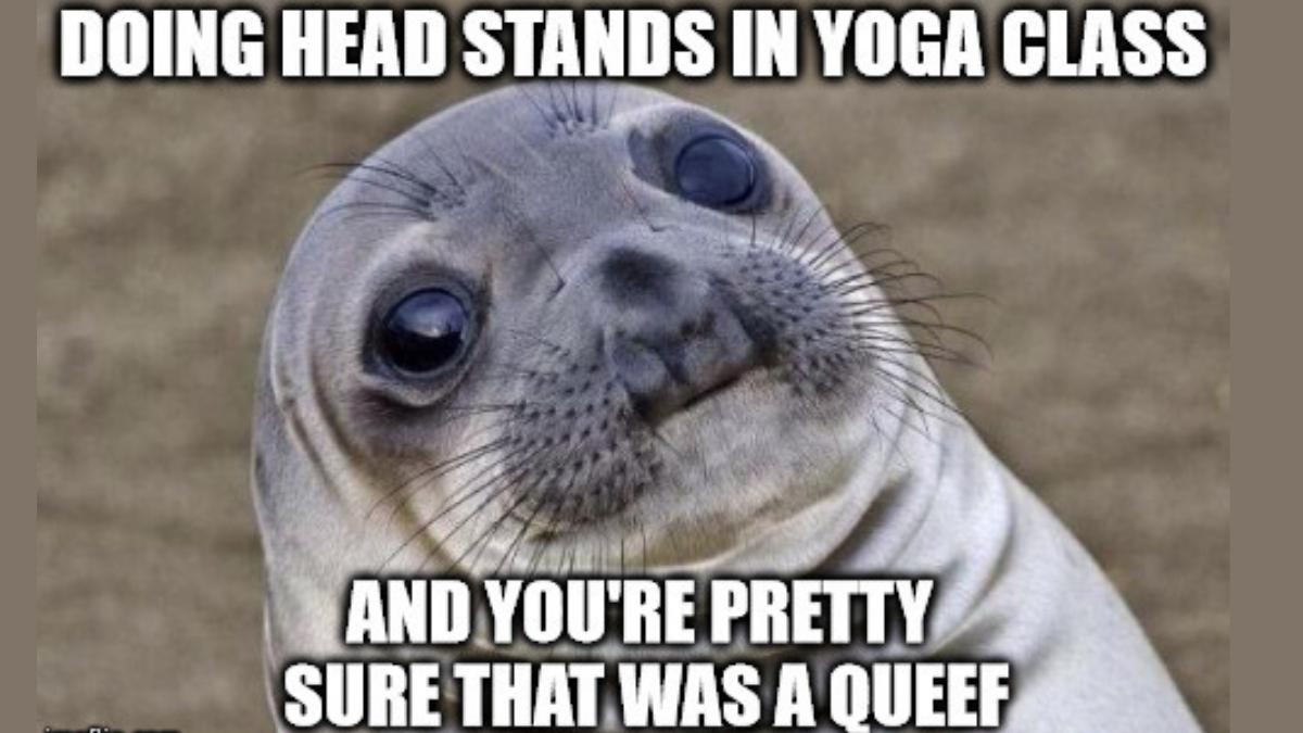 50+ Funny Yoga Memes to Stretch Your Face Muscles
