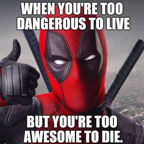you are awesome memes deadpool