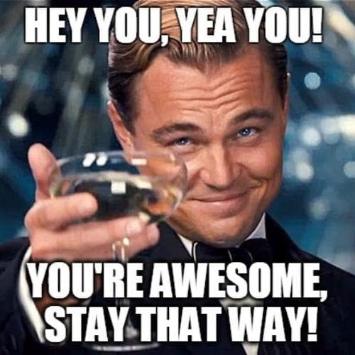 you are awesome memes cheers