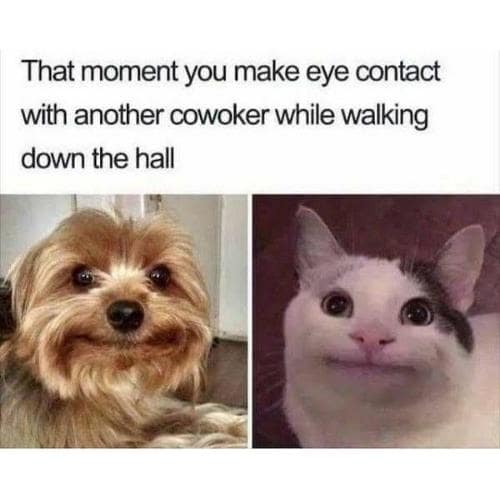 Awkward Smile Memes