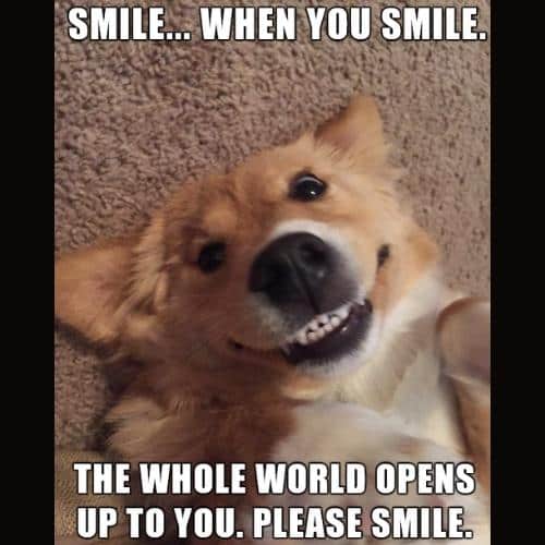 funny smile memes