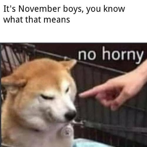 I am Horny Memes