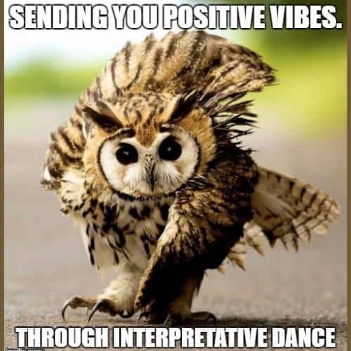 Funny Positive Vibes Memes