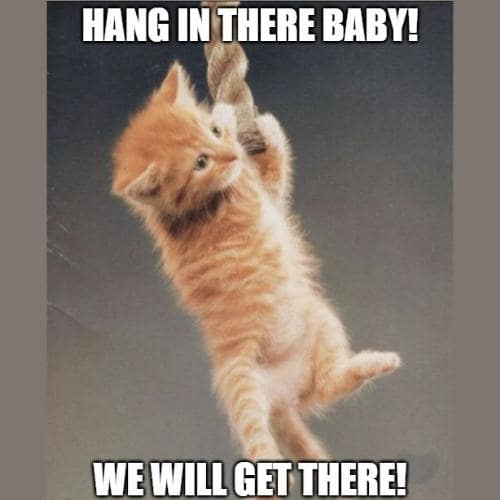 Hang in There Memes baby