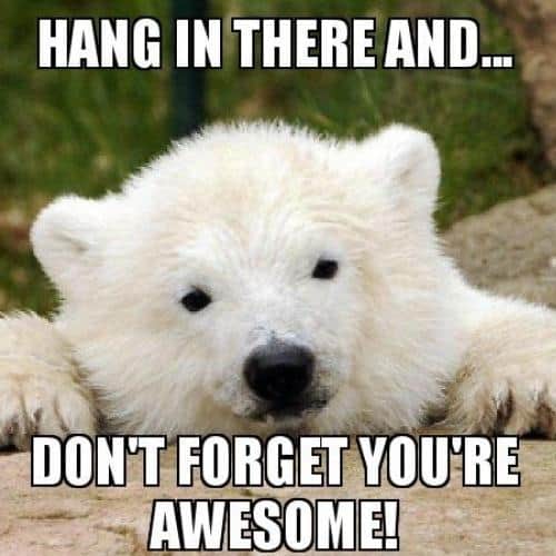 Hang in There Memes pinterest