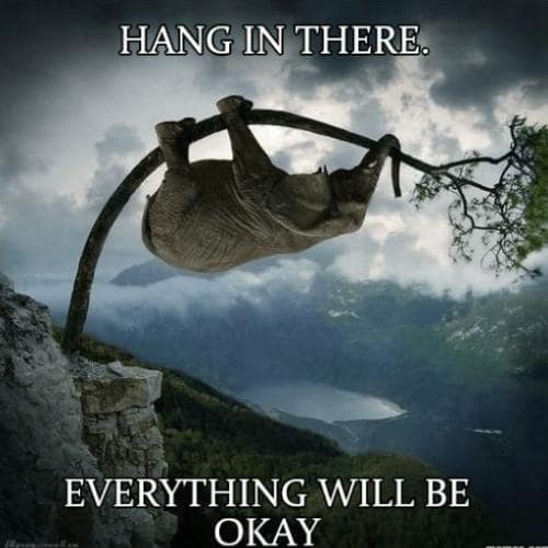 Hang in There Memes images
