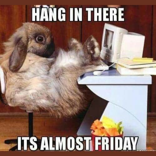 Hang in There Memes its almost friday