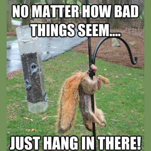 best Hang in There Memes