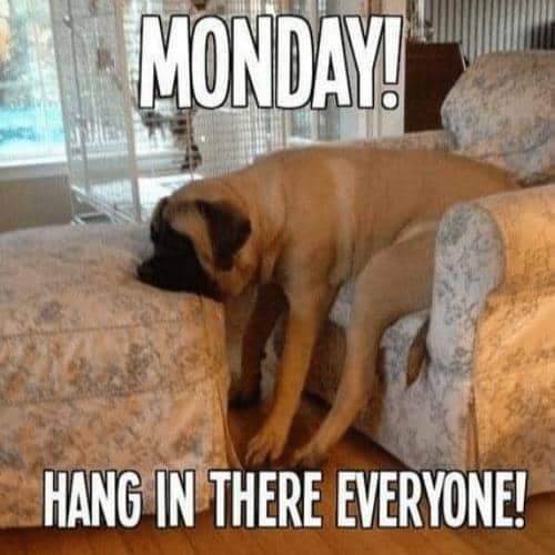 monday Hang in There Memes