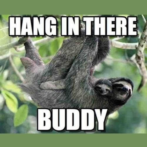 funny Hang in There Memes