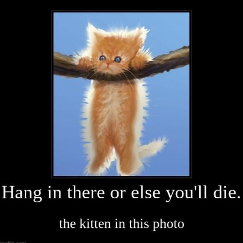Hang in There Memes