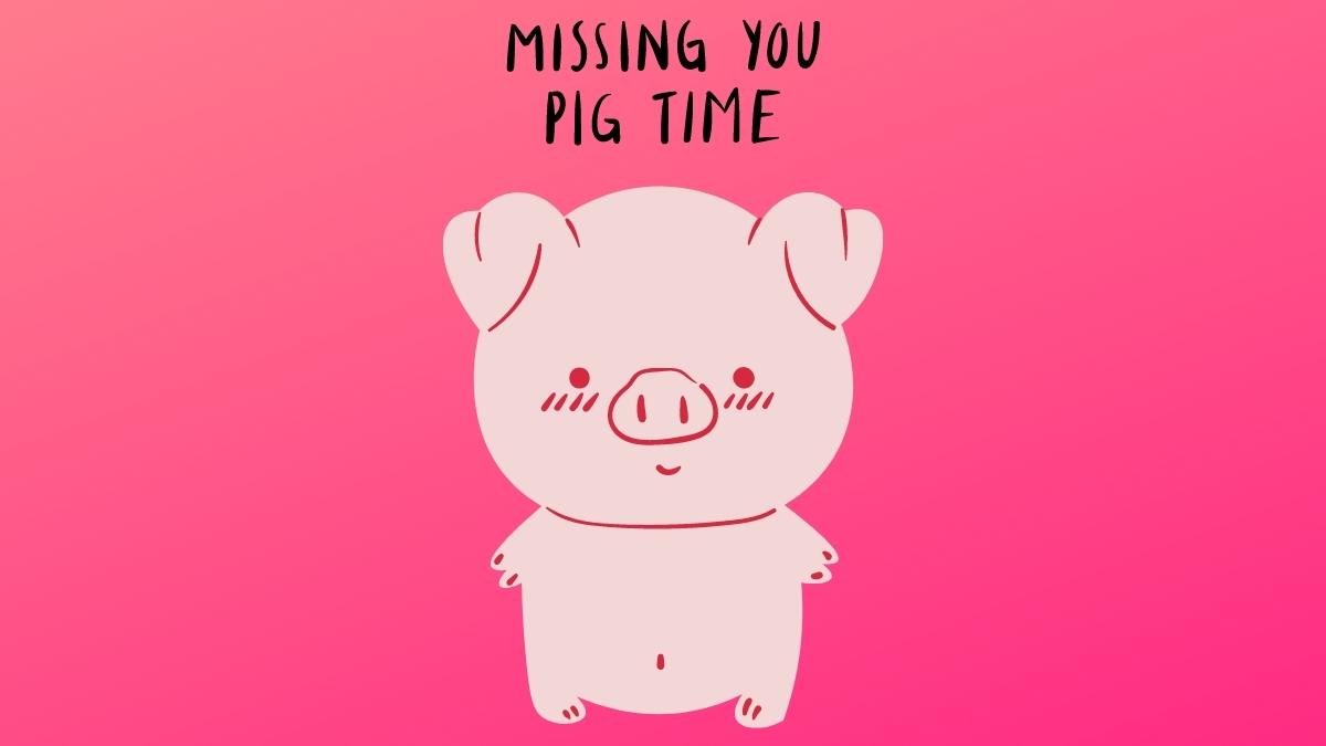 61 Pig Puns That Will Make You Grunt & Laugh