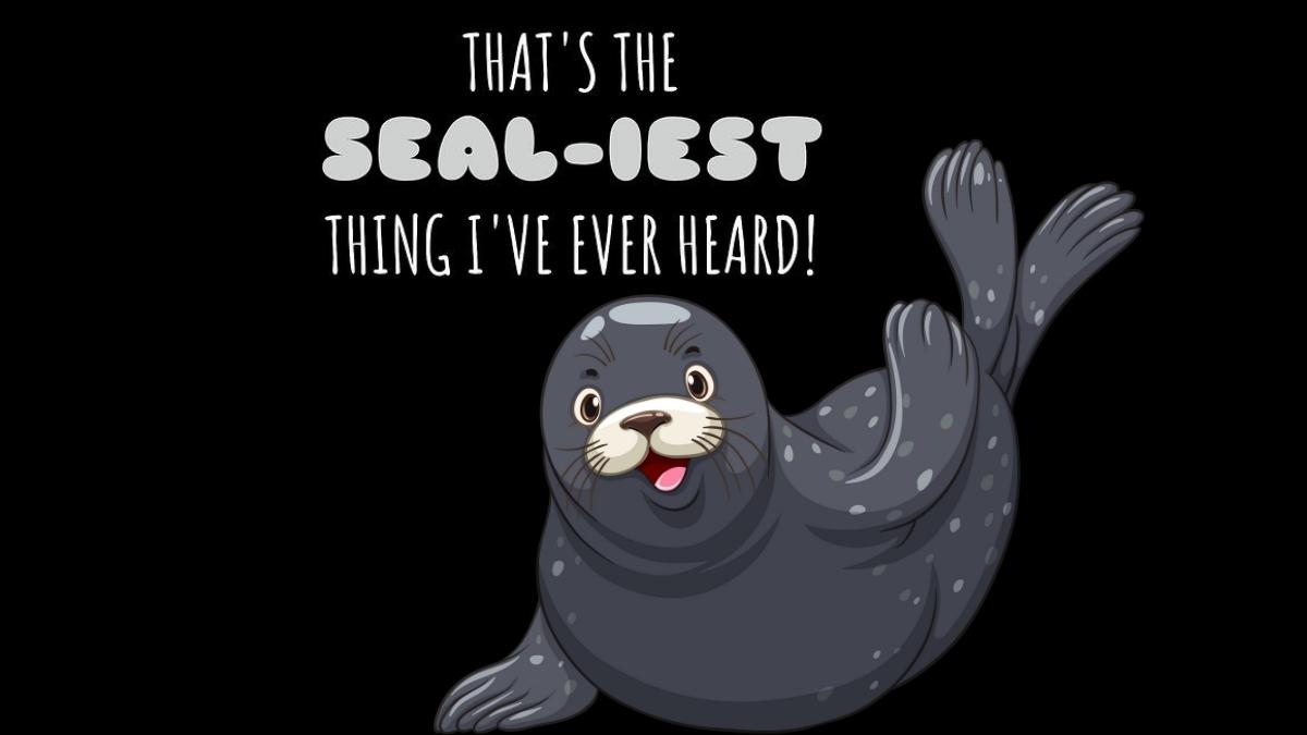 60+ Seal Puns That Are as Goofy as Seals.