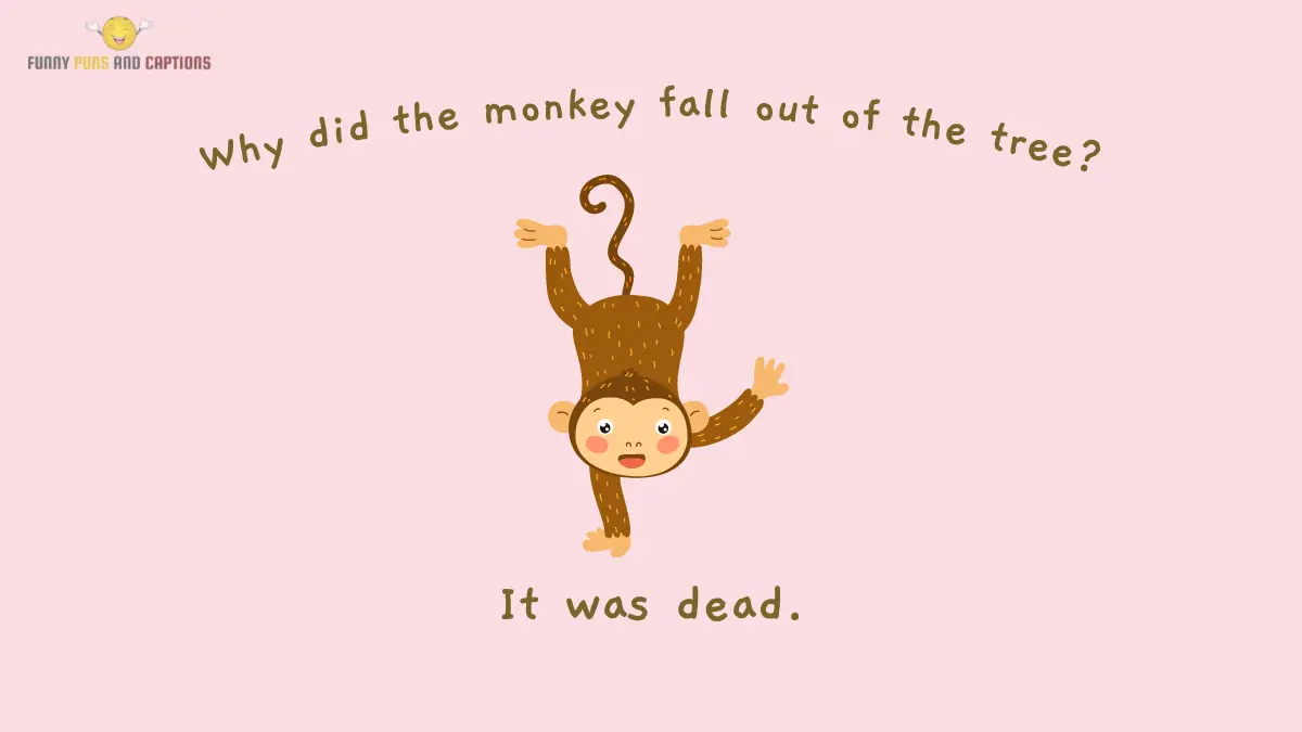 100+ Funny Monkey Puns That Are Ape-solutely Hilarious