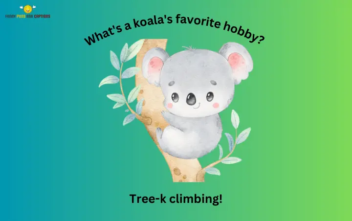 100+ Ultra Hilarious Koala Puns & Jokes