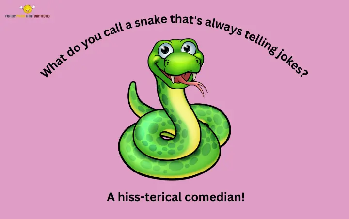 100+ Snake Puns That Are Outrageously Hisssterical