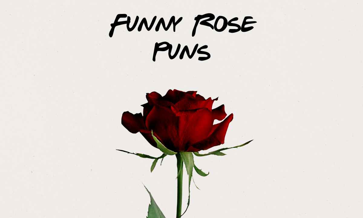 Funny Rose Puns
