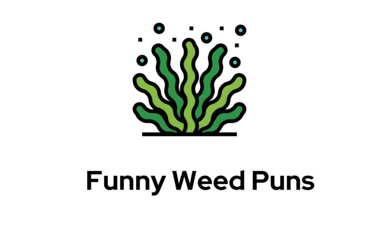 hilarious Weed Puns
