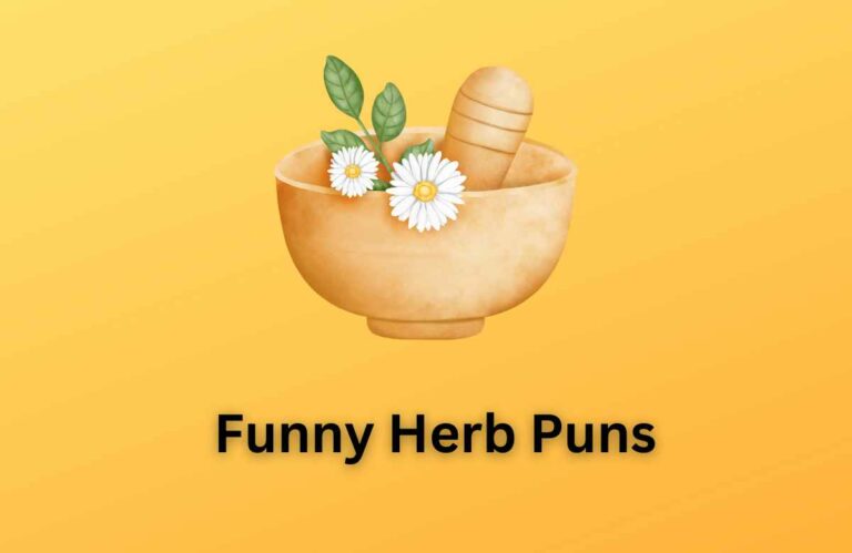 Funny Herb Puns