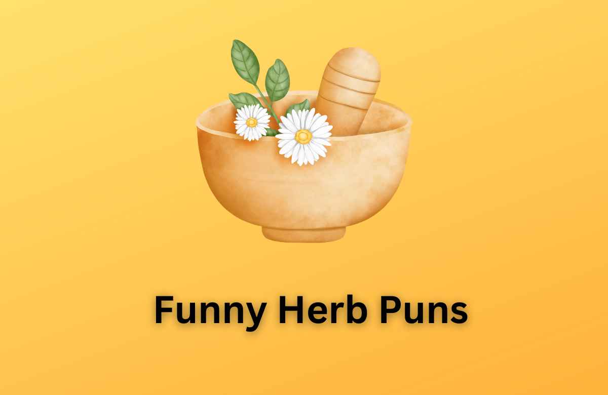 Funny Herb Puns