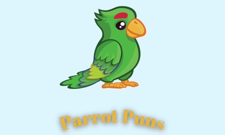Parrot Puns & Jokes