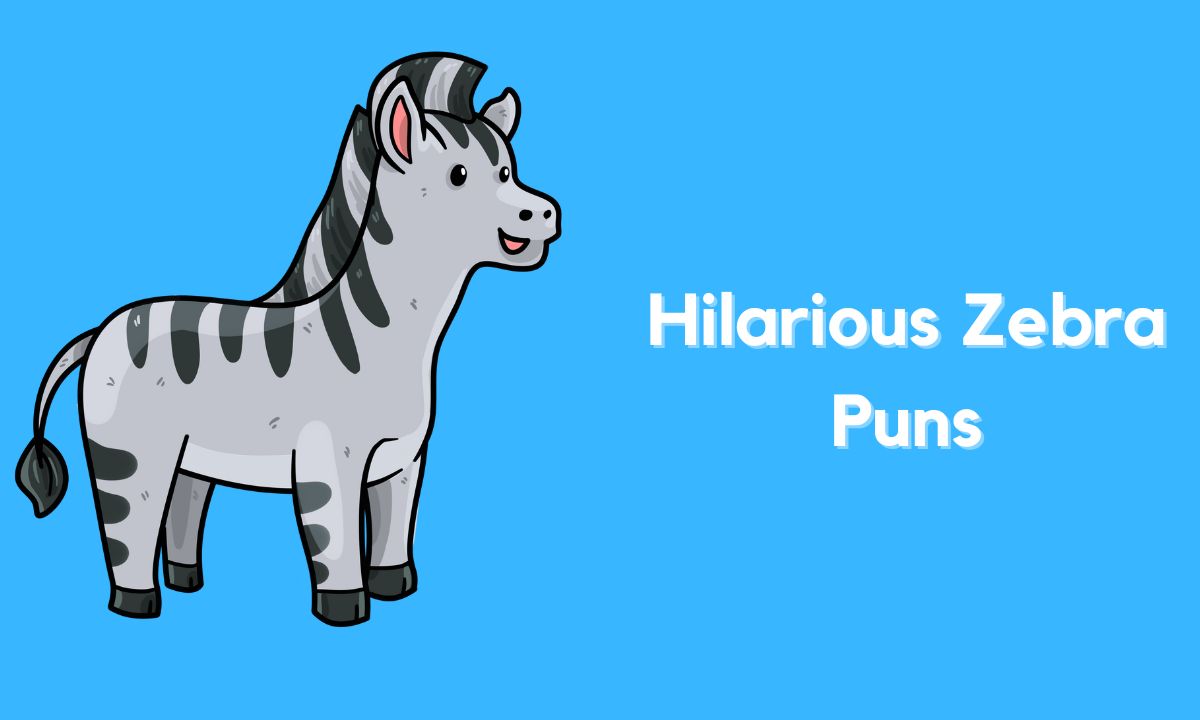 funny Zebra Puns
