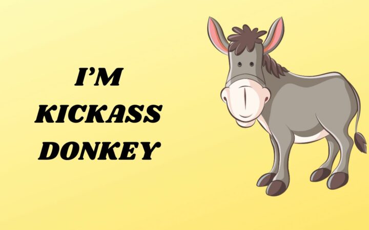 Donkey Puns