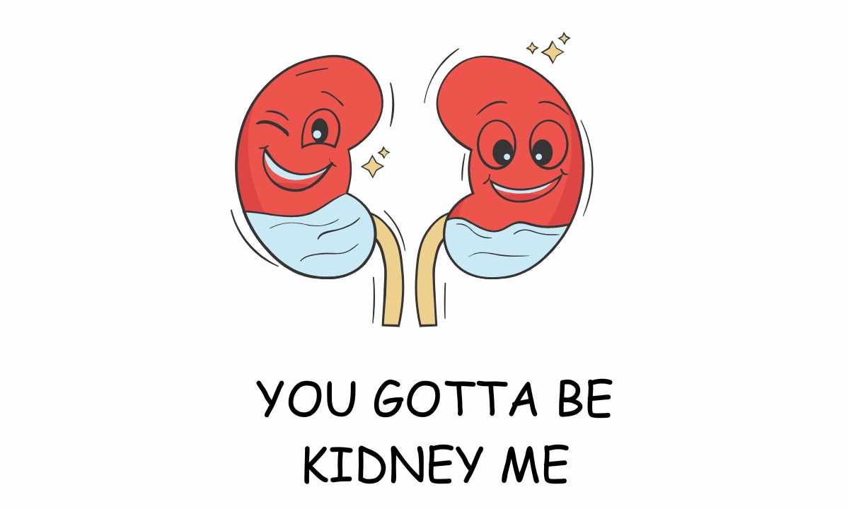Funniest Kidney Puns